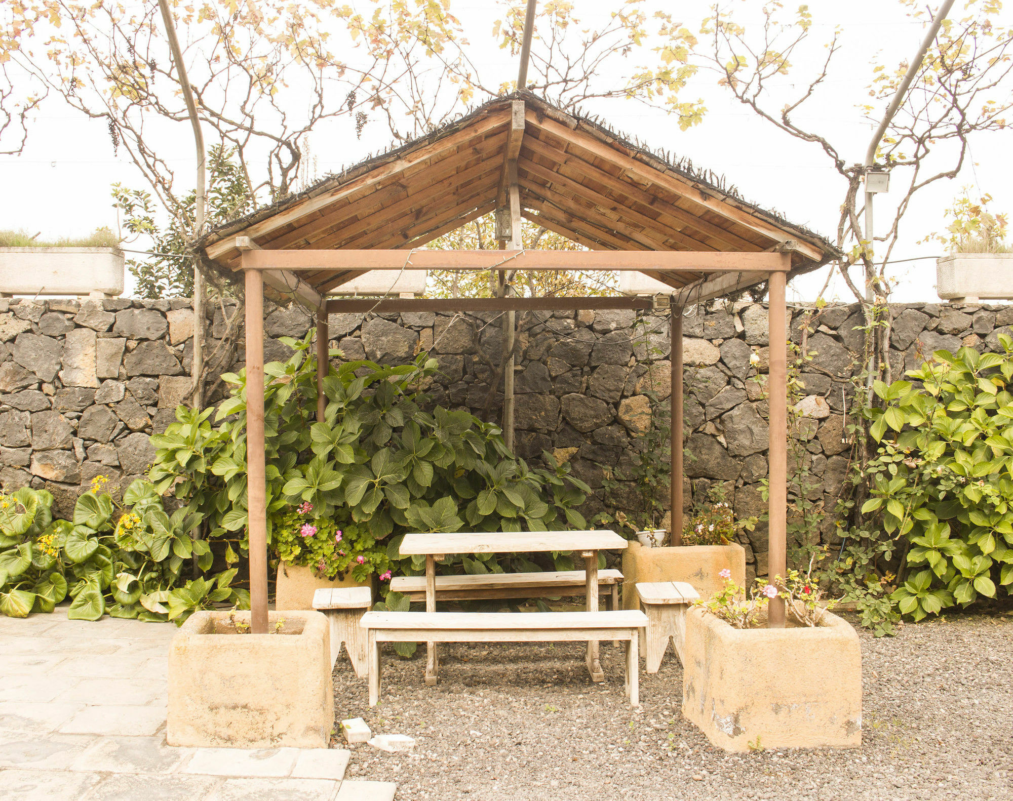 Casa Rural La Tanquera Los Realejos Bagian luar foto