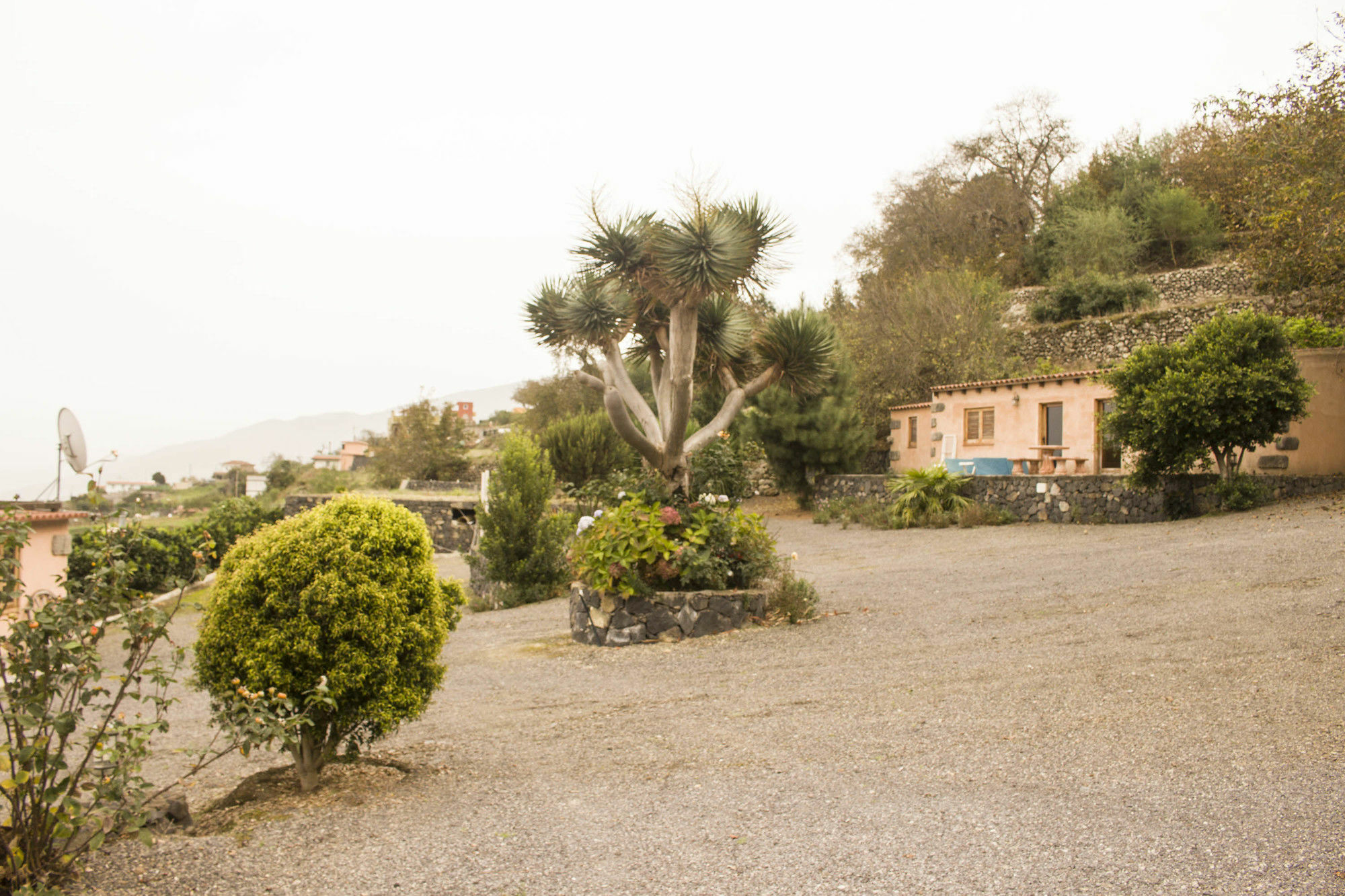 Casa Rural La Tanquera Los Realejos Bagian luar foto