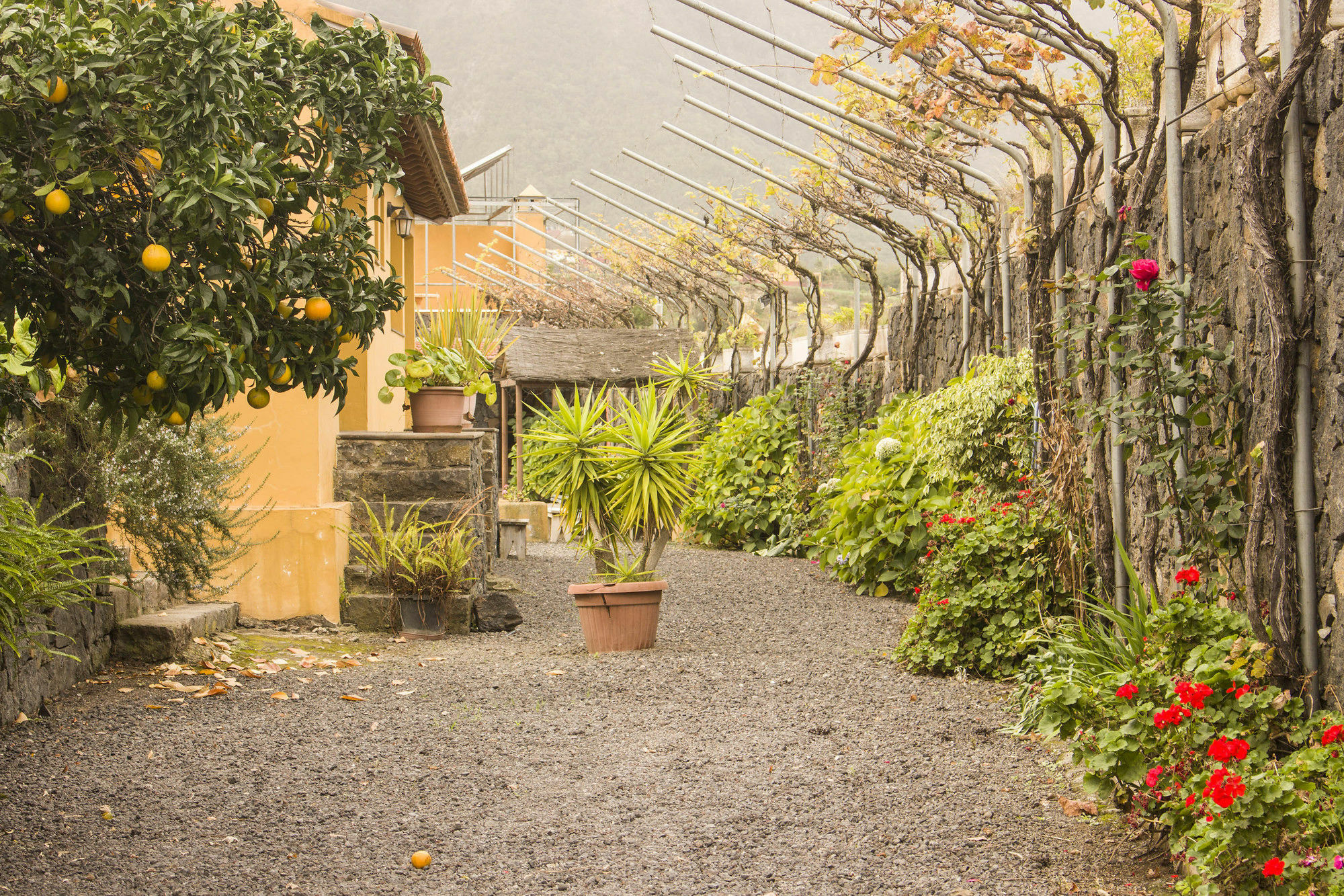 Casa Rural La Tanquera Los Realejos Bagian luar foto